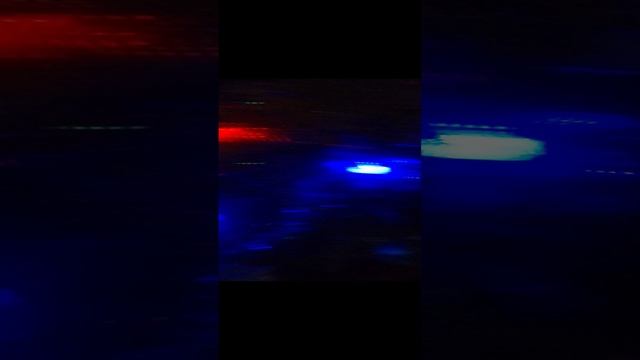 Новогодняя ЁЛКА!!!!!!!