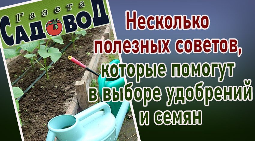 Готовимся к дачному сезону. Несколько полезных советов, которые помогут в выборе удобрений и семян