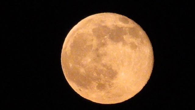 Canon PowerShot SX510 HS Moon Test Zoom (13/06/2014)