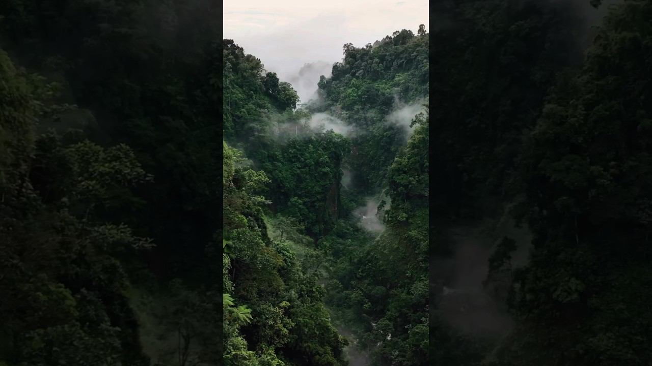 Индонезия. Гора Бора. ASMR #asmr #indonesia #bromo