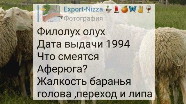 ФилолУх олух баранья голова