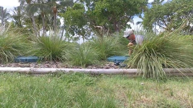 Wastewater Treatment Plant Operator VLOG 9