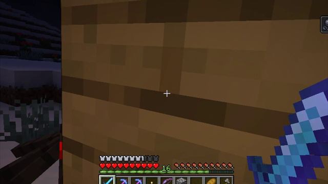 survival in minecraft 154