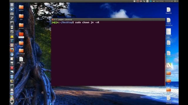 Change ownership of a file in Linux