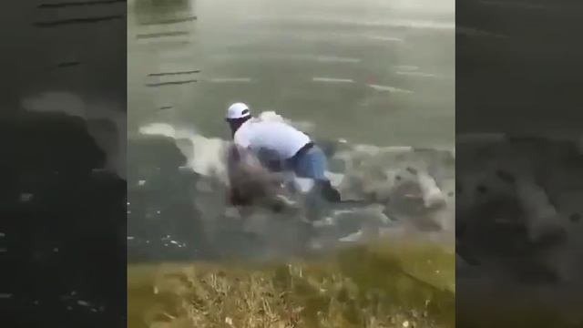 VID_20230605_070753_184.mp4