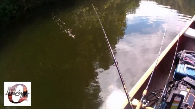 TOPWATER BASS CHALLENGE: Ozark Trail Popper vs The Hula Popper