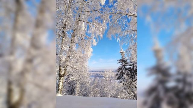 31 декабря 2022