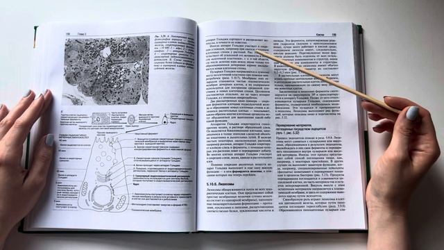 АСМР Читаю учебник по биологии ч.3 про аппарат Гольджи / Ты точно уснешь! / Шепот // ASMR in russia