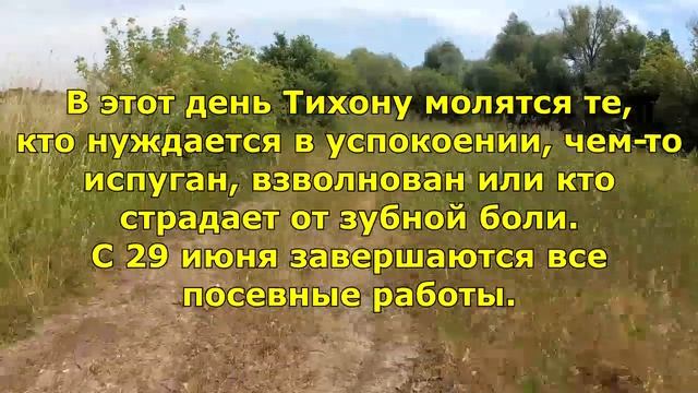 Приметы на 29 июня. Народный праздник «Тихон Тихий».