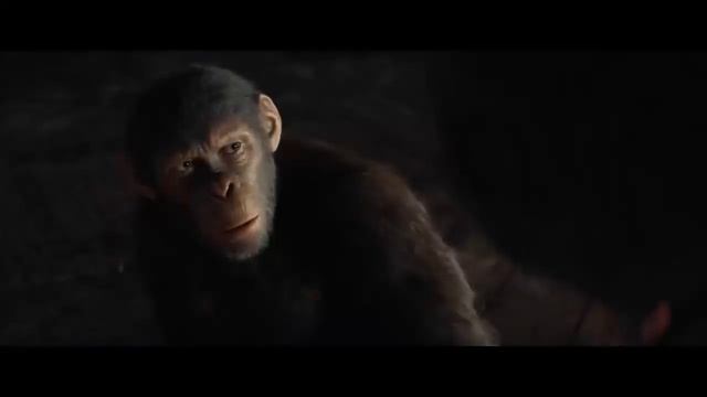 Планета обезьян: Новое царство 2024 смотреть в хорошем качестве