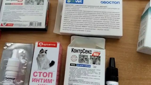 Подбросили котят,контрацептивы для кошек.Еще один отличный рабочий день!