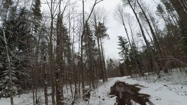 Поездка в Никольское,Захожье