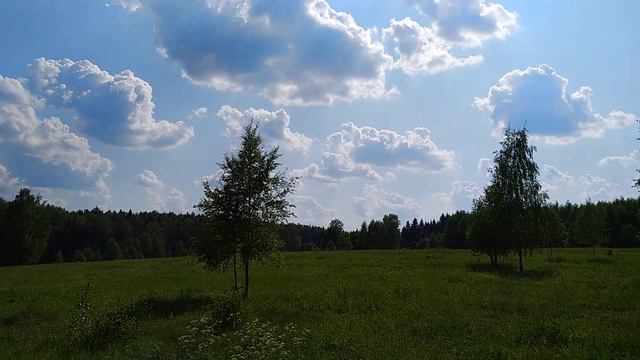 Дача 4