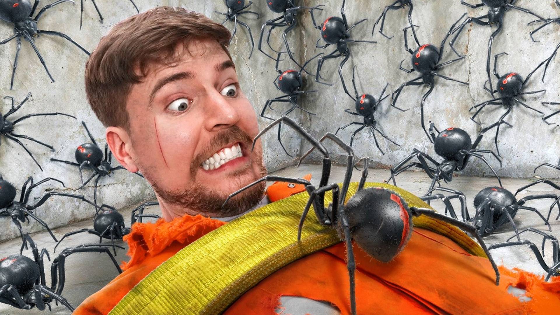Смелость или страх? Преодолей свой самый большой страх и получи $800,000