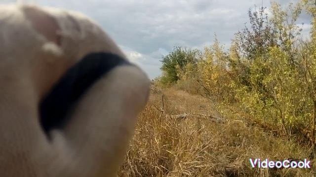 МЕТАЛЛОКОП С ПРОТЕЗОМ РУКИ. НЕПЛОХИЕ НАХОДКИ А ПАСАДКЕ ВОЗЛЕ ЖД