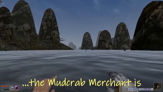Morrowind: How to find the Mudcrab Merchant (Shown in Map!)