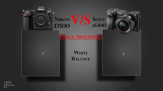 Nikon D500 vs Sony α6300