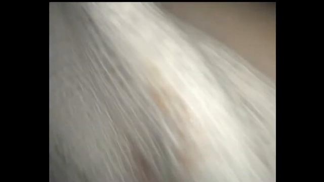 ТАРР с двух сторон