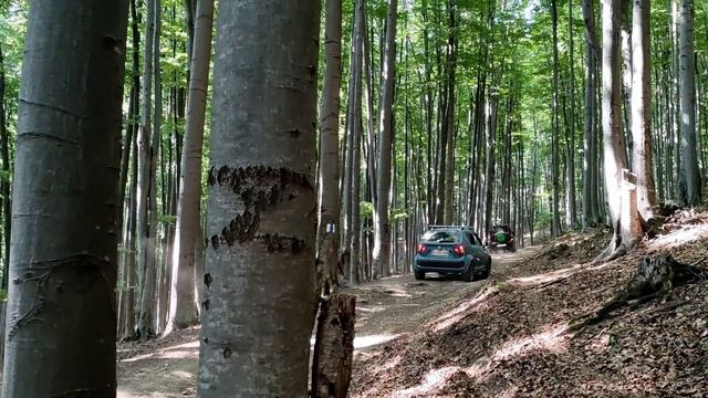 Suzuki Ignis off road & Jimny - steep hillclimbs & downhills in the forrest + steep hill recovery