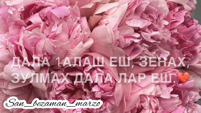 Хьай док дик хил хьа. Декъал еш