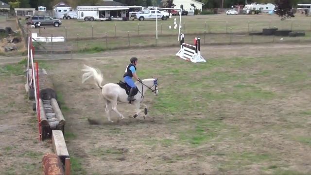 Kiwi Davidson and Prince at Rainbow Meadows Farm Derby; Sept. 2015