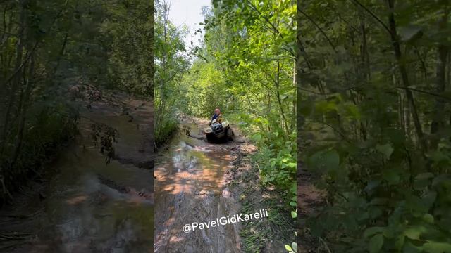 Двухчасовой маршрут рядом с г. Петрозаводск к берегу Онежского озера.
Настоящее приключение 🔥