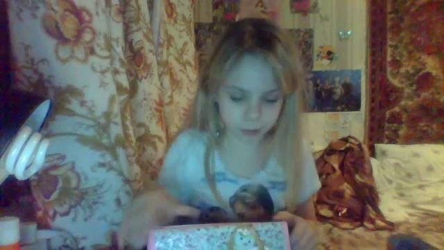 Чехол+пенал)