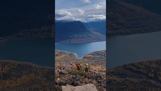 Путоранский заповедник. Красноярский край. Россия.