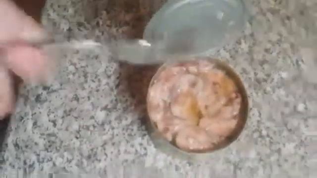 Обзор #2 на Сайру тихоокеанскую