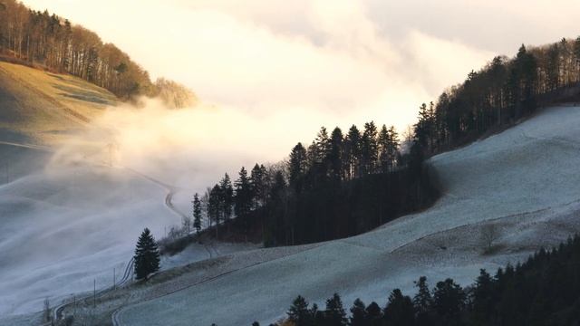 15 Minute Beautiful Sleep Music
