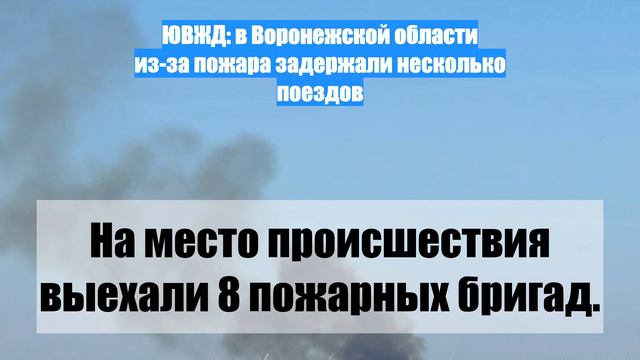 ЮВЖД: в Воронежской области из-за пожара задержали несколько поездов