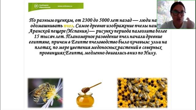 Биология 7 класс. Открытый урок 01.08.2023