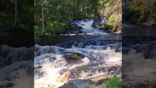 Долина водопадов (Карелия) июнь 2023.