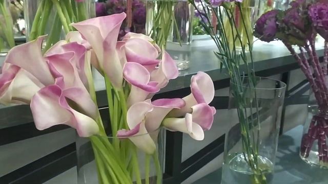 Цветочный релакс!Цветы которые вы никогда не видели. Алматы.Казахстан.