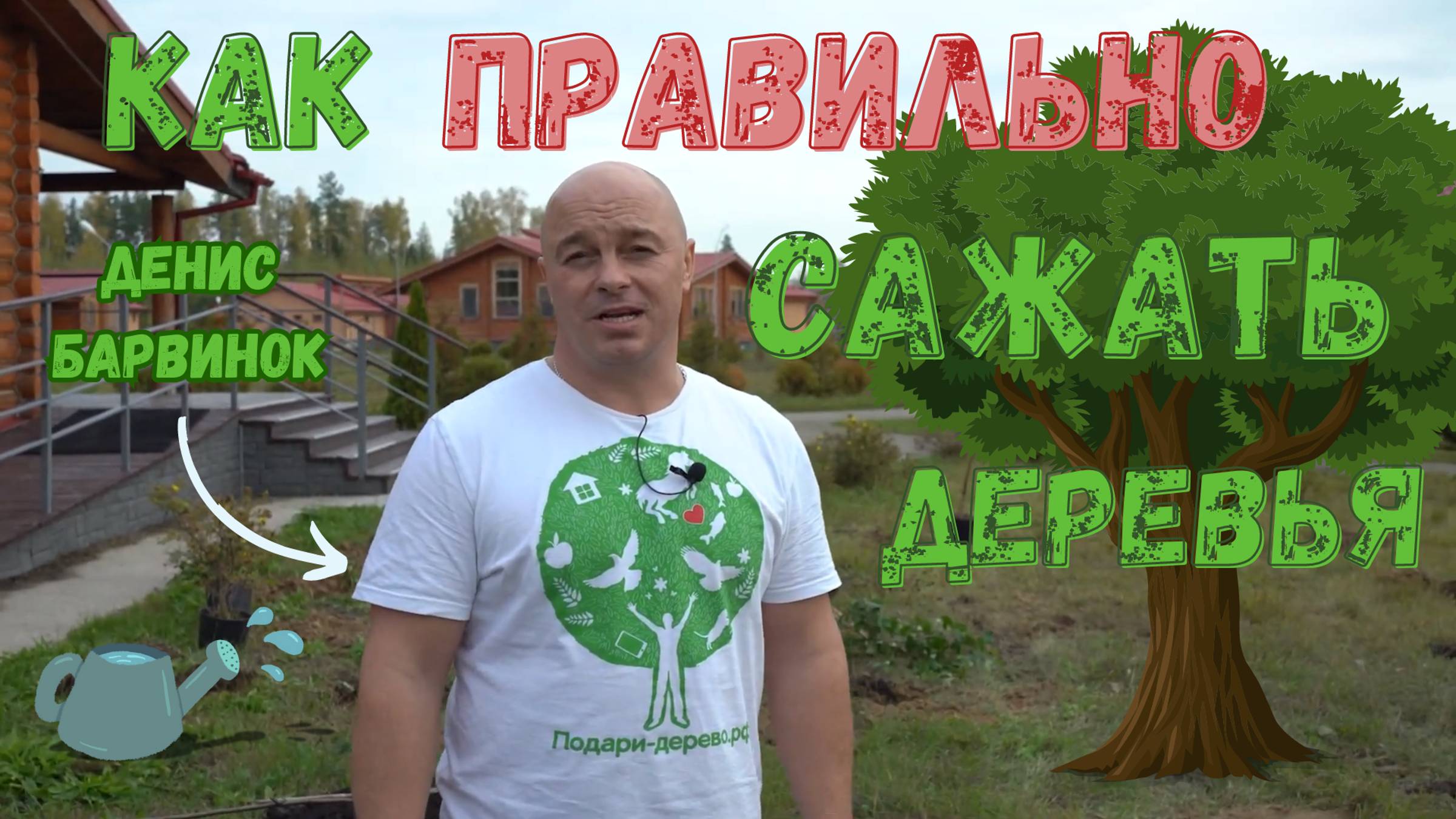 Инструкция по посадке дерева от #подаридерево