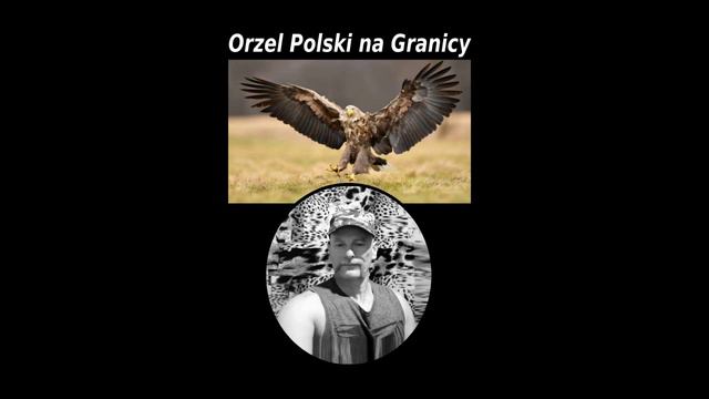 Piosenka - ( Orły Polskie na Granicy )