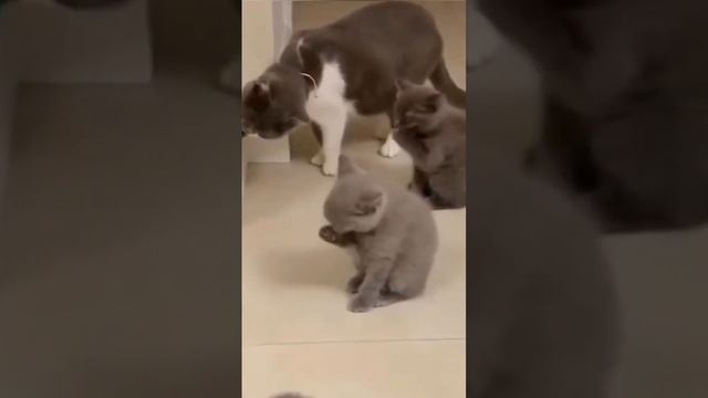 мыться