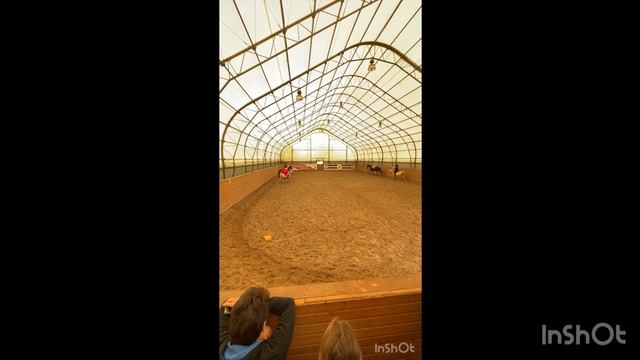 Конный театр («Летучий корабль») #конныйспорт #лошади #животные