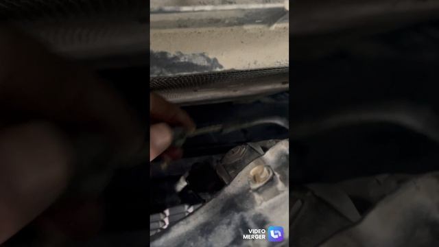 Смотреть видео онлайн