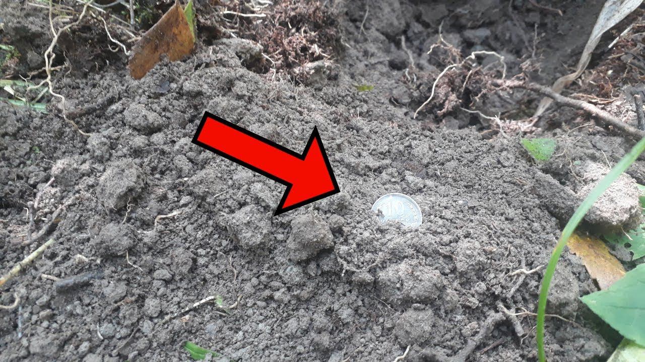 Обнаружил СЕРЕБРО в лесу !!! серебряная Монета
