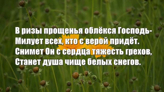 Гимны Надежды 179 В ризы спасенья облёкся Господь (минус)