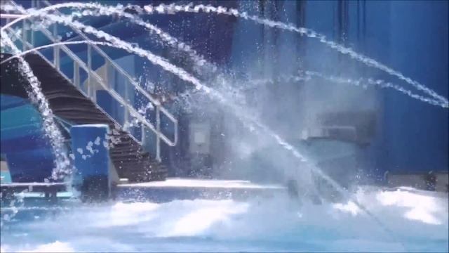 One Ocean Full Show  SeaWorld Orlando - Soak Zone