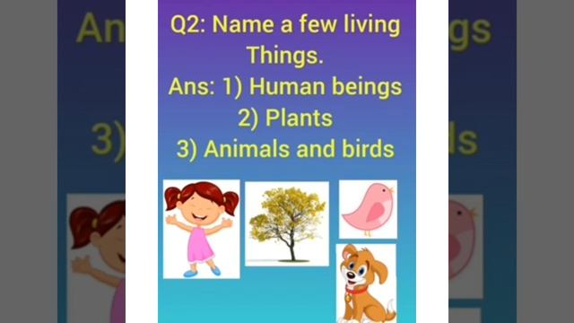 Living and non living things