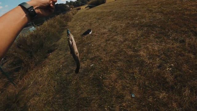 GOPRO HERO 12 vs DJI OSMO ACTION 4 - I LIED... #djiosmoaction4 #goprohero12