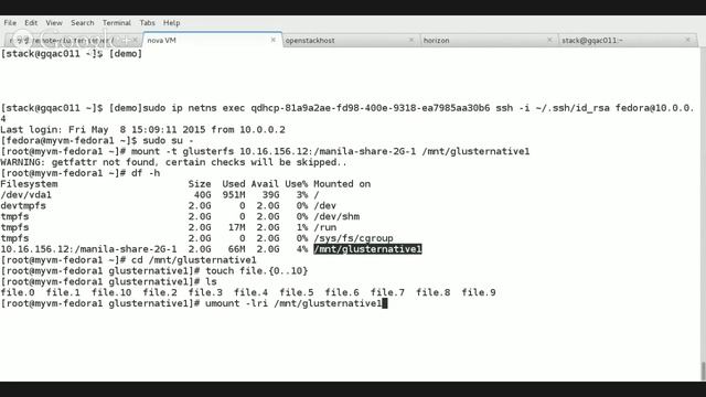 a demo for OpenStack Manila + GlusterFS