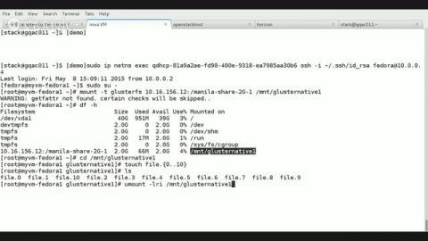 a demo for OpenStack Manila + GlusterFS