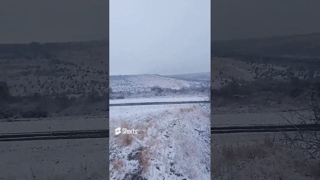 24 ноября 2023 г. 2.mp4