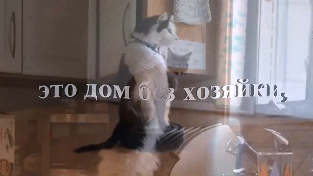 Добрый день, ВЕСНА!