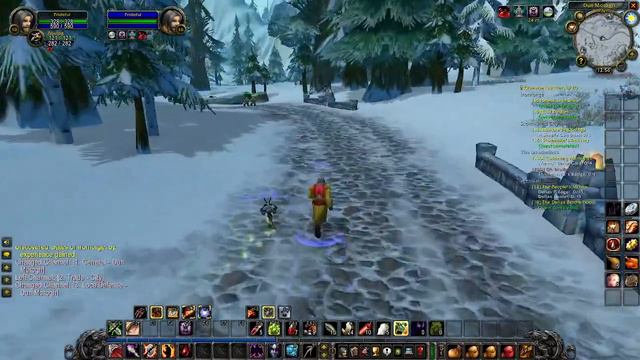 World of Warcraft Soul of Iron Hardcore 4