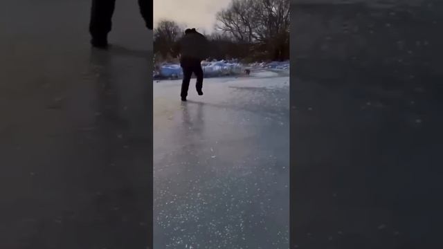 VID_20240206_173633_934.mp4